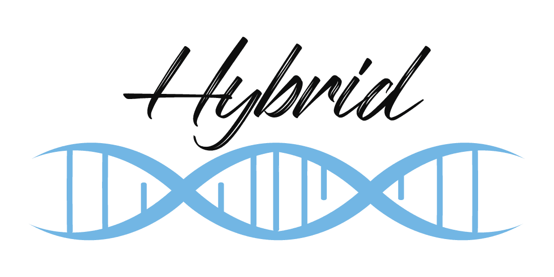 Ashwagandha HYBRID — Premium Capsulas - Normal