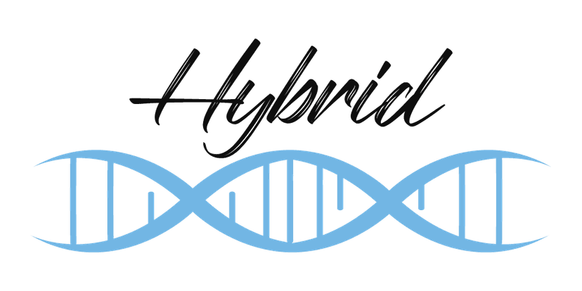 Ashwagandha HYBRID — Premium Capsulas