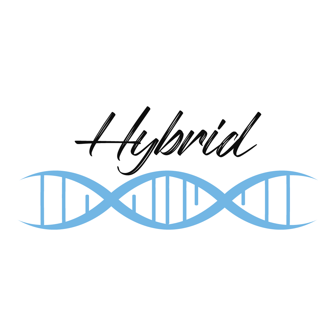 HYBRID Labs